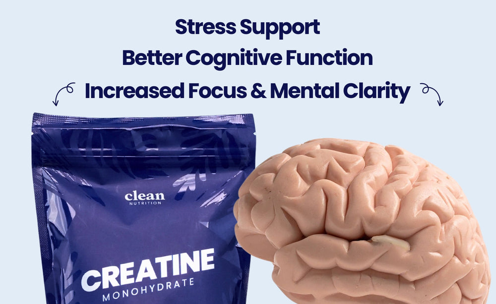 Creatine for Brain Health: How It May Support Cognition, Focus & Stress Resilience